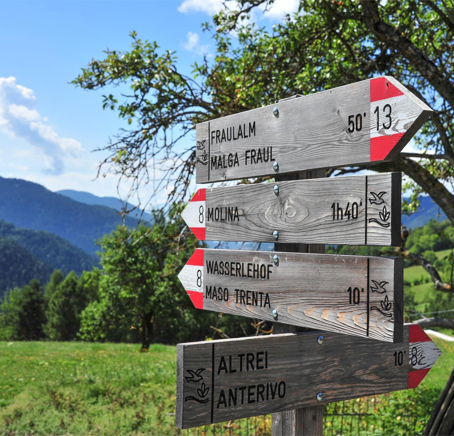 Foto per Escursione guidata nel Parco Naturale Monte Corno “Momenti magici”